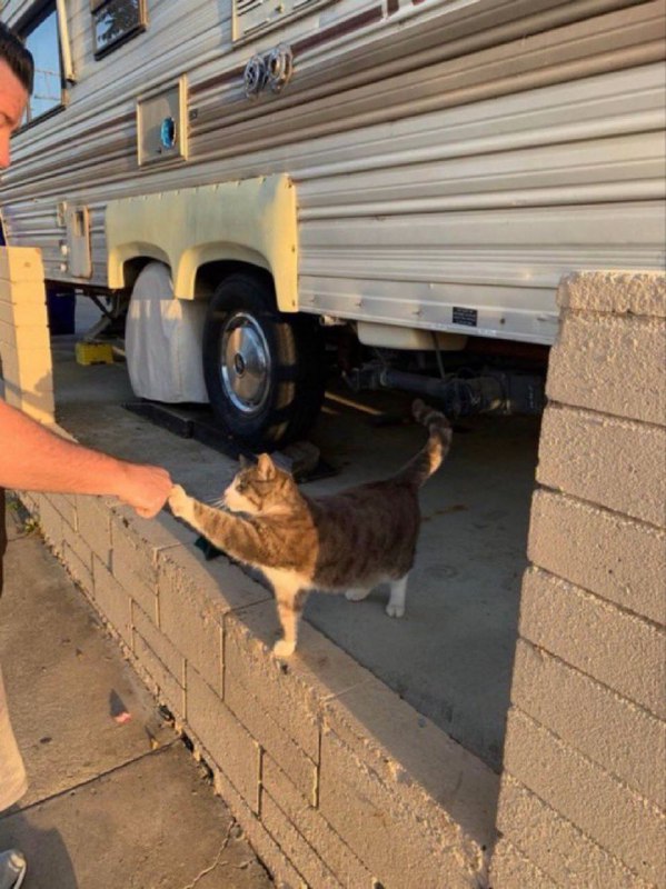 #可爱喵喵Friendship ❤️from 叮当喵喵-今天你也很可爱