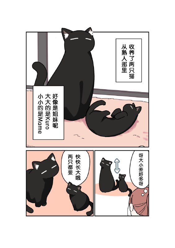 中文翻译from 猫猫窝🐈🐈‍⬛中文翻译from 猫猫窝🐈🐈‍⬛