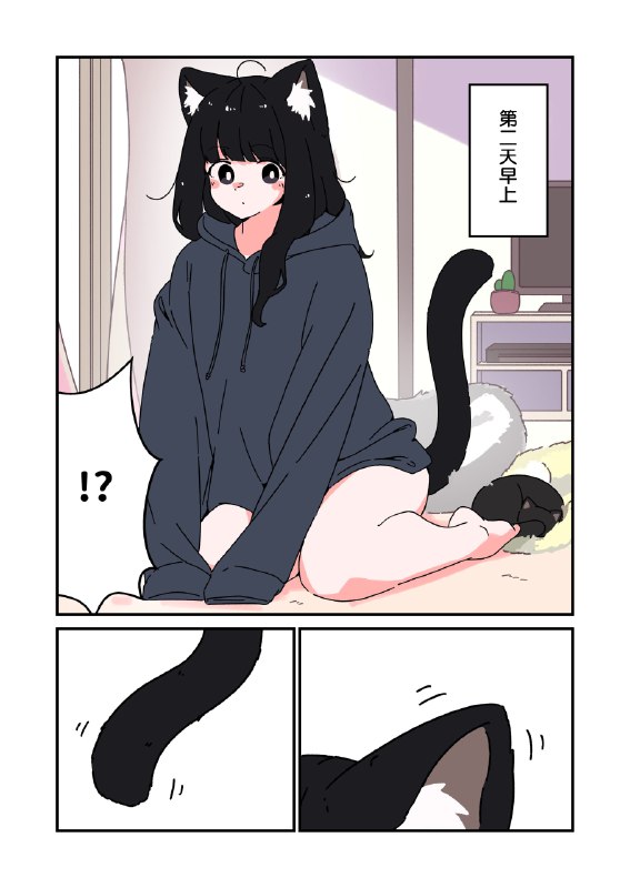 中文翻译from 猫猫窝🐈🐈‍⬛中文翻译from 猫猫窝🐈🐈‍⬛