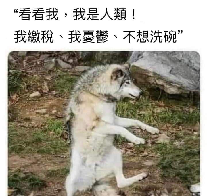 via 雨喵 | (´・ω・`)