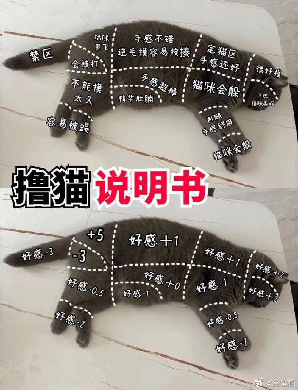 你学fei了吗？