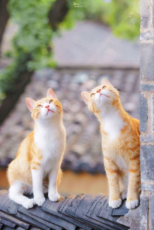 via 匿名via 匿名