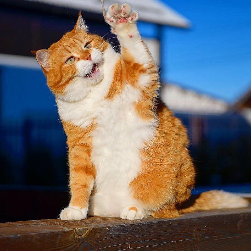 via 匿名via 匿名