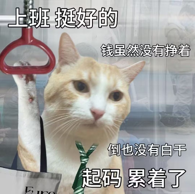 via 7号沙雕网友