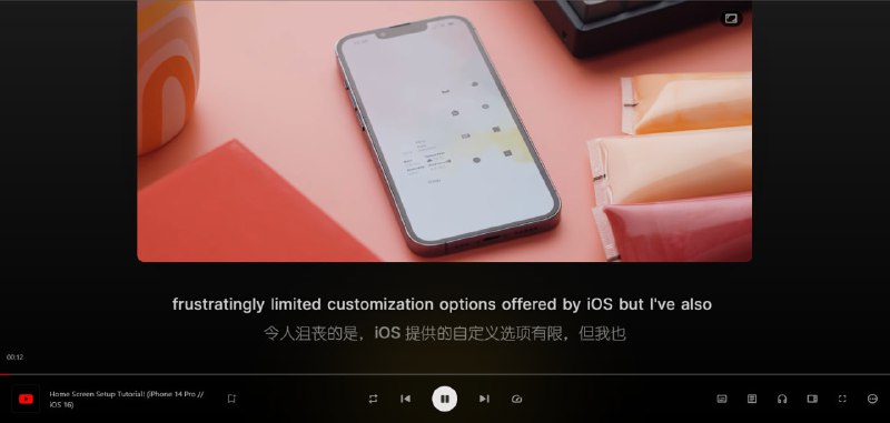 Trancy - 看视频学习新语言 帮助你学习的扩展程序