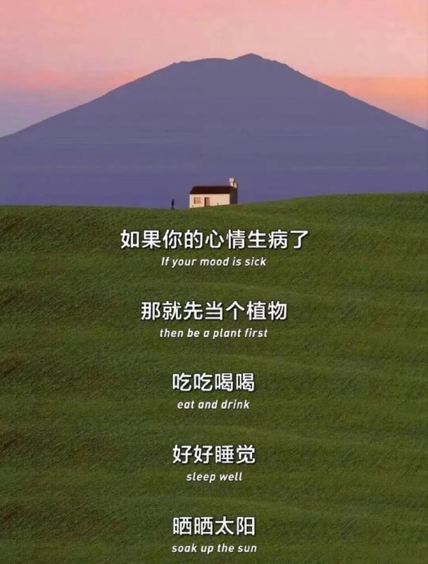 from 荔枝木from 荔枝木