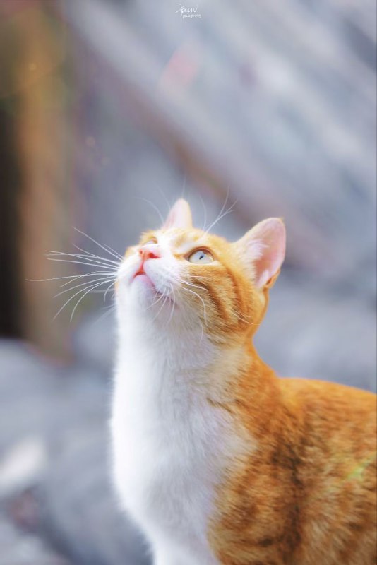 via 匿名via 匿名