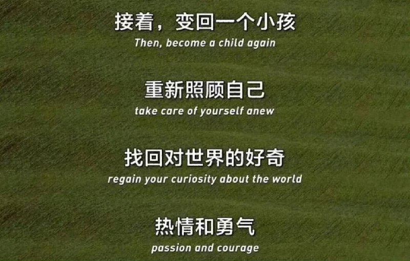 from 荔枝木from 荔枝木