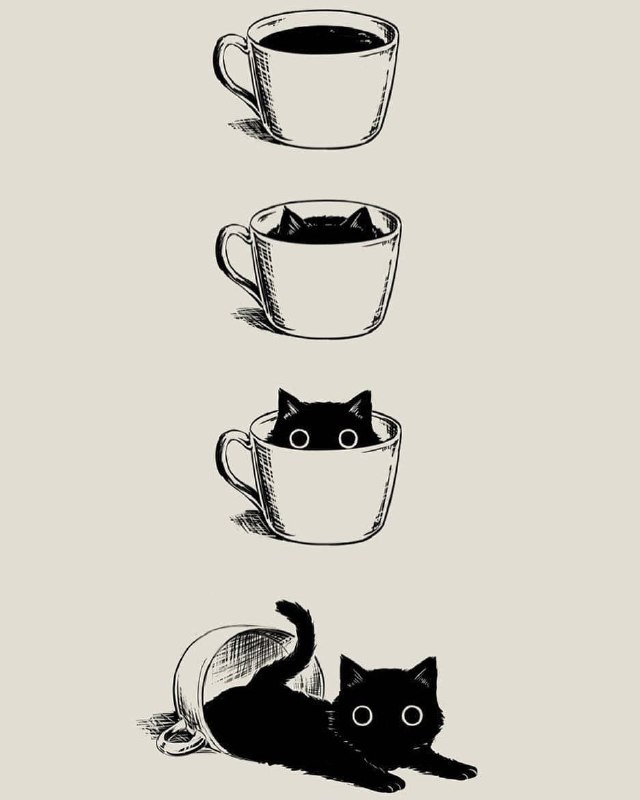 #插画 #猫 #猫是液体