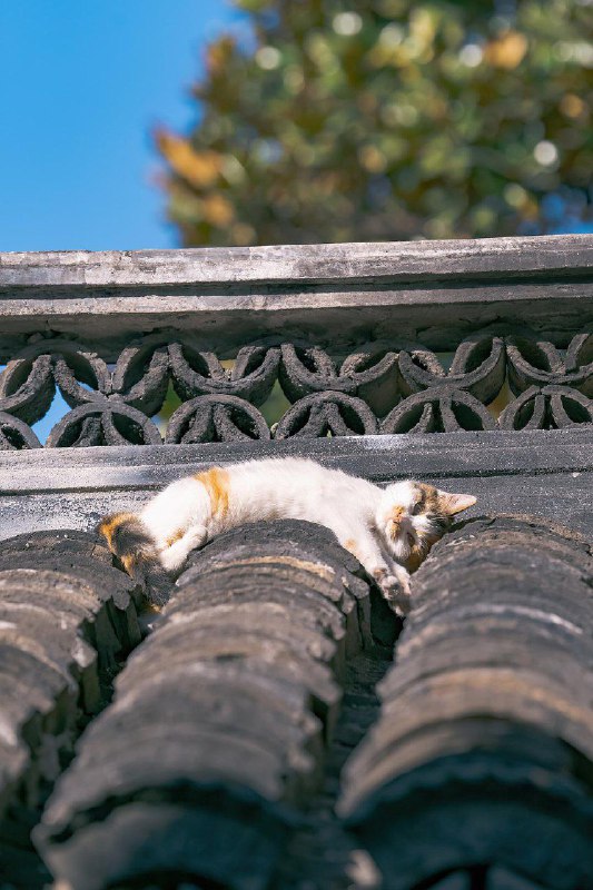 via 匿名via 匿名