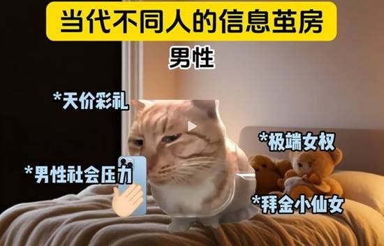 via 7号沙雕网友via 7号沙雕网友