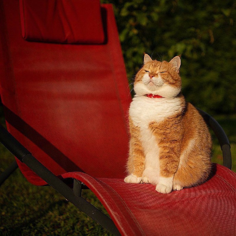 via 匿名via 匿名