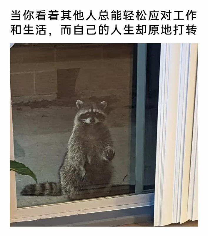 via 7号沙雕网友