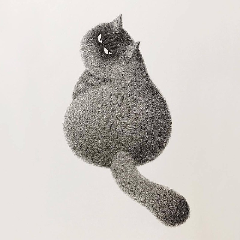 #猫
