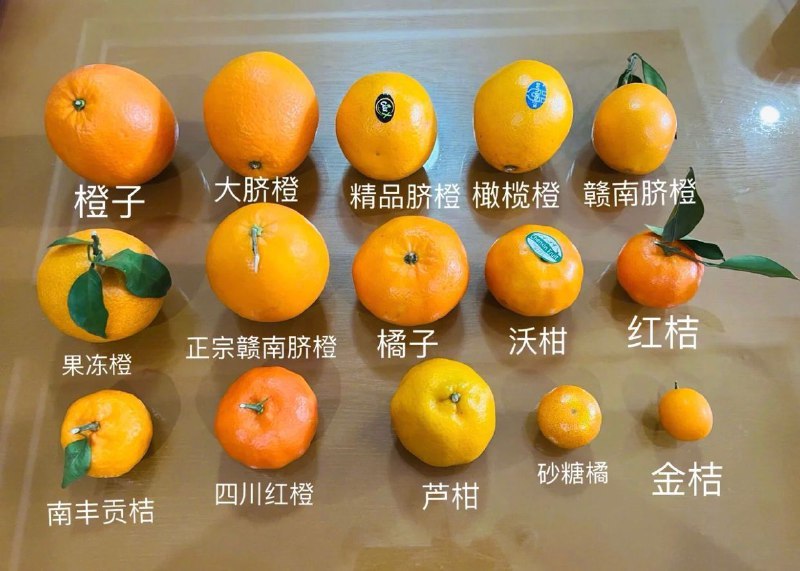 论怎么区分橙子橘子柑子桔子via 只评论垃圾作品