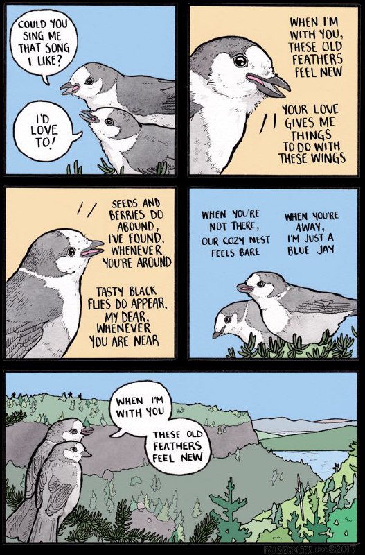 June 29th, 2017 - Grey Country