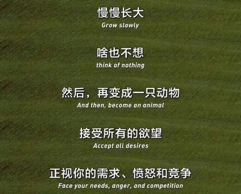 from 荔枝木from 荔枝木